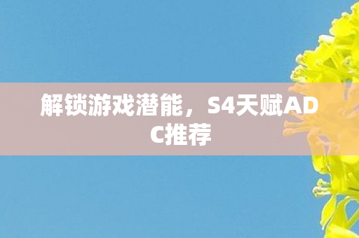 S4天赋ADC推荐图片