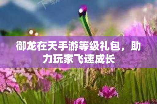 御龙在天手游等级礼包,助力玩家飞速成长 御龙在天手游等级礼包,助力玩家飞速成长