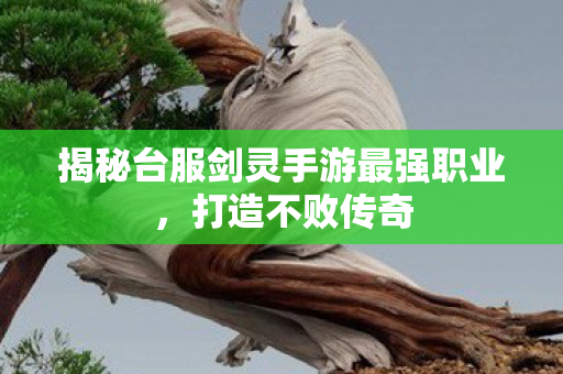 揭秘台服剑灵手游最强职业图片