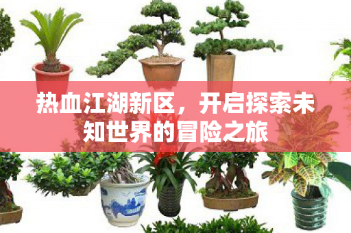 开启探索未知世界的冒险之旅图片