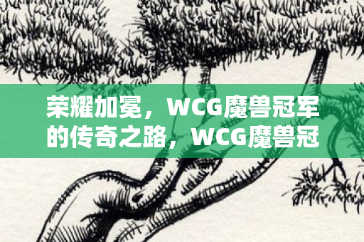 WCG魔兽冠军的传奇之路图片