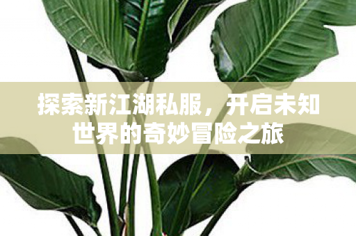开启未知世界的奇妙冒险之旅图片