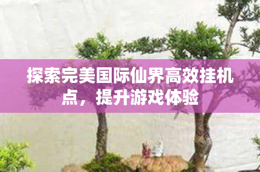 探索完美国际仙界高效挂机点,提升游戏体验 探索完美国际仙界高效挂机点,提升游戏体验