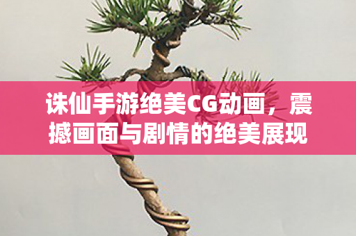 震撼画面与剧情的绝美展现图片