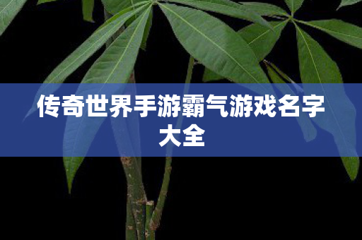传奇世界手游霸气游戏名字大全图片