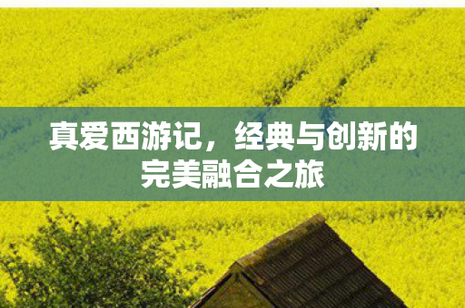 经典与创新的完美融合之旅图片