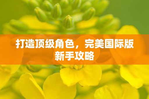 打造顶级角色,完美国际版新手攻略 打造顶级角色,完美国际版新手攻略