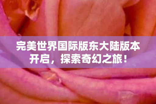 完美世界国际版东大陆版本开启图片