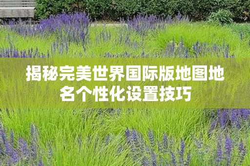 揭秘完美世界国际版地图地名个性化设置技巧图片