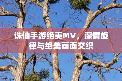 深情旋律与绝美画面交织图片