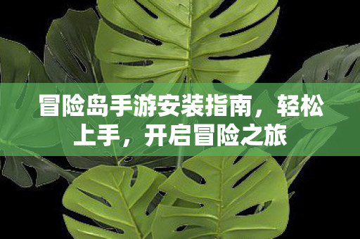 冒险岛手游安装指南图片