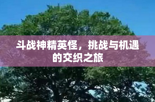 挑战与机遇的交织之旅图片