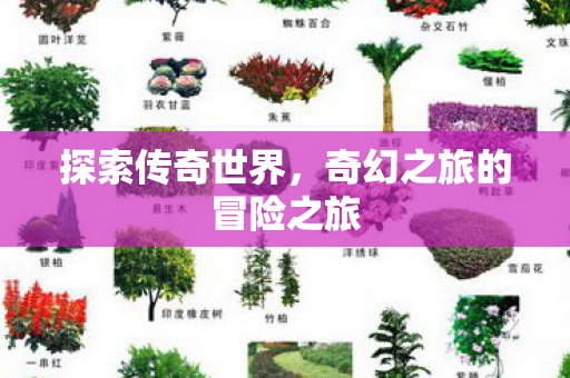奇幻之旅的冒险之旅图片
