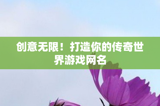 打造你的传奇世界游戏网名图片