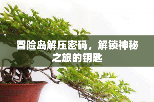 解锁神秘之旅的钥匙图片