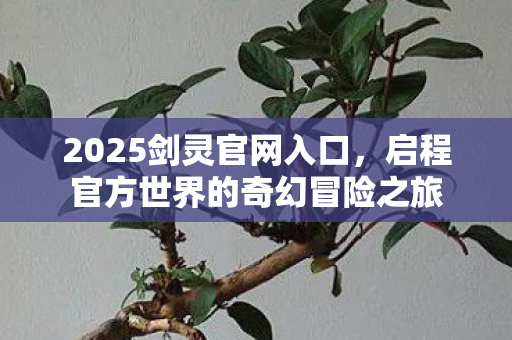 启程官方世界的奇幻冒险之旅图片