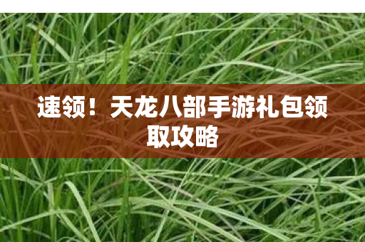 天龙八部手游礼包领取攻略图片