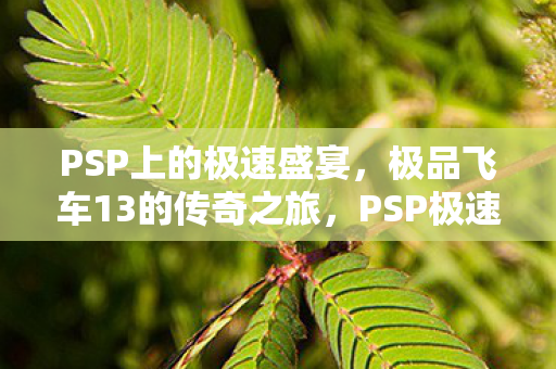 极品飞车13的传奇之旅图片