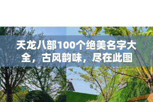 天龙八部100个绝美名字大全图片