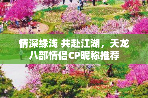 天龙八部情侣CP昵称推荐图片