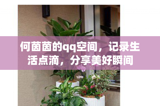 何茵茵的qq空间图片