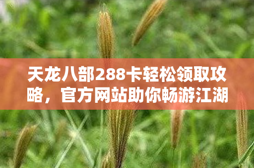 天龙八部288卡轻松领取攻略图片