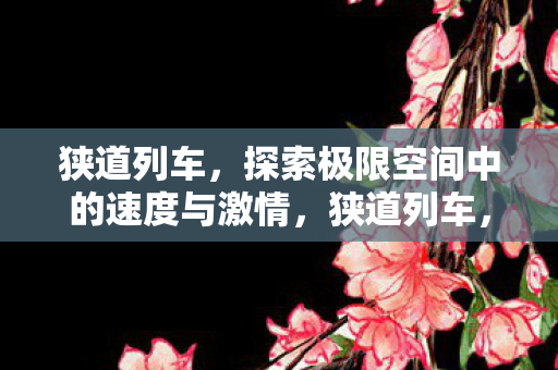 探索极限空间中的速度与激情图片