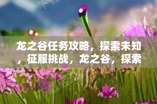 龙之谷任务攻略,探索未知,征服挑战,龙之谷,探索未知,征服挑战任务攻略 龙之谷任务攻略,探索未知,征服挑战,龙之谷,探索未知,征服挑战任务攻略