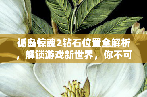 孤岛惊魂2钻石位置全解析图片