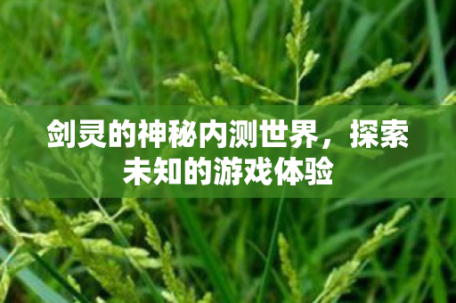 剑灵的神秘内测世界图片
