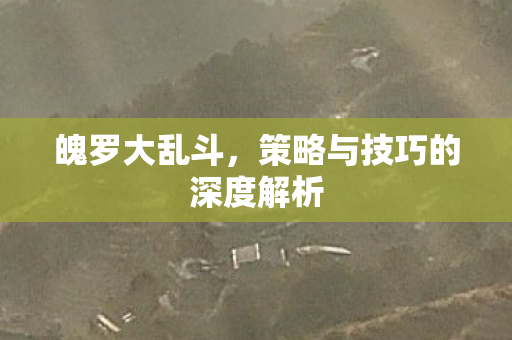 策略与技巧的深度解析图片