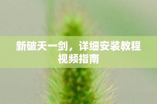详细安装教程视频指南图片