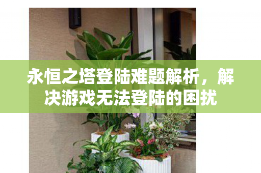 解决游戏无法登陆的困扰图片