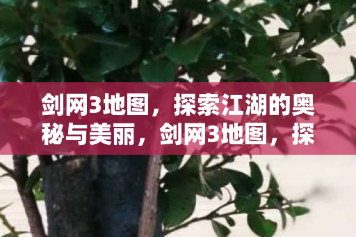 剑网3地图，探索江湖的奥秘与美丽，剑网3地图，探索江湖奥秘与美丽