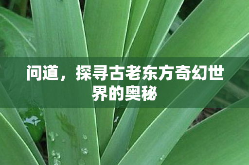 问道,探寻古老东方奇幻世界的奥秘 问道,探寻古老东方奇幻世界的奥秘
