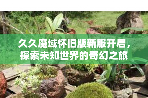 久久魔域怀旧版新服开启图片