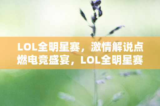 LOL全明星赛点燃电竞盛宴图片