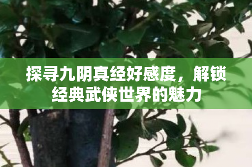 解锁经典武侠世界的魅力图片