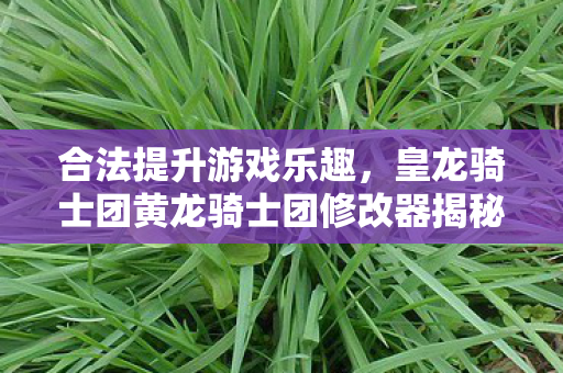 皇龙骑士团黄龙骑士团修改器揭秘图片