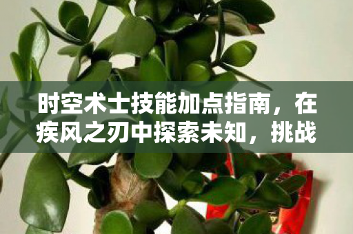 时空术士技能加点指南图片