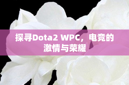 探寻Dota2 WPC图片