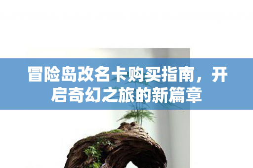 冒险岛改名卡购买指南图片