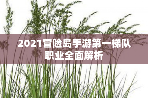 2021冒险岛手游第一梯队职业全面解析图片