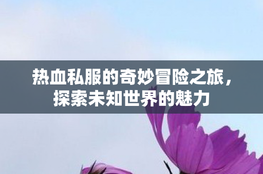 热血私服的奇妙冒险之旅图片