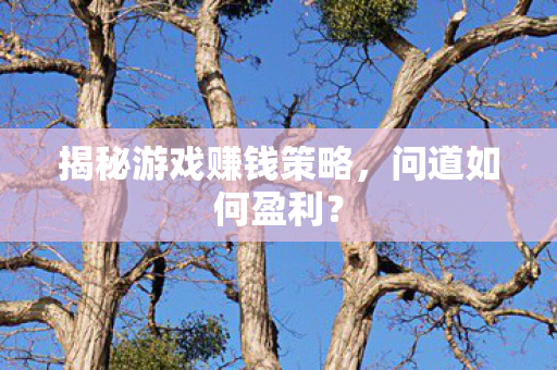 揭秘游戏赚钱策略,问道如何盈利? 揭秘游戏赚钱策略,问道如何盈利?