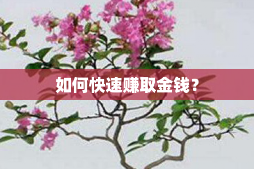 如何快速赚取金钱图片