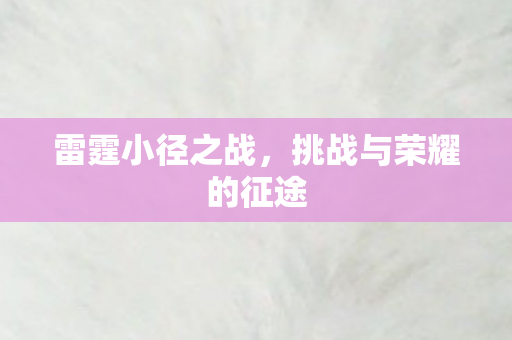 挑战与荣耀的征途图片