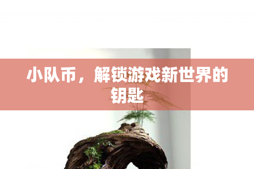 解锁游戏新世界的钥匙图片