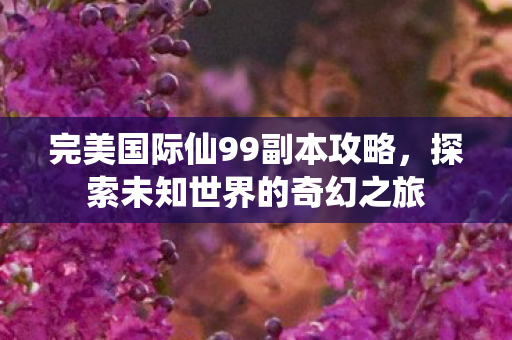 完美国际仙99副本攻略图片