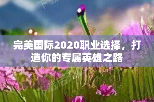 完美国际2020职业选择图片
